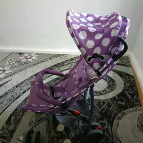 Caga kalyaska arssaja kemi yok
