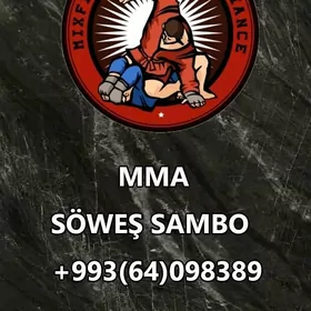 MMAБОЕВОЕ САМБО