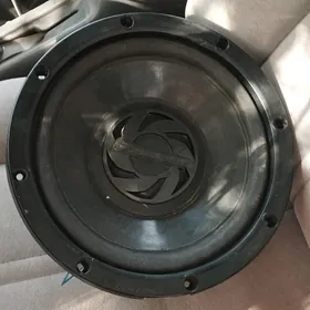 pioneer bas bocka uselitel