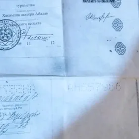 PASPORT YITDI