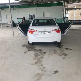 Toyota Corolla 2014