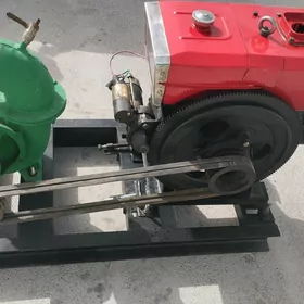 Adelino suw nasos