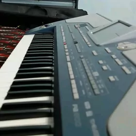 Pa 800