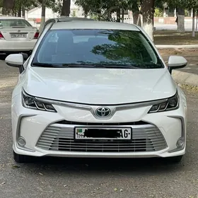 Toyota Corolla 2020