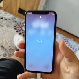 iPhone XАбмен
