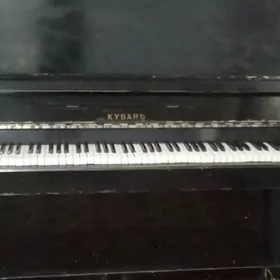 Kanın pianino