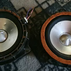 jbl gapi kalonka morda