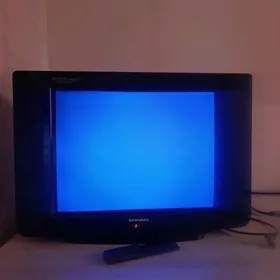 Televizor