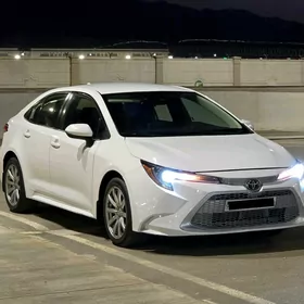 Toyota Corolla 2020