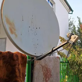 Antena