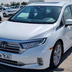 Honda Odyssey 2021