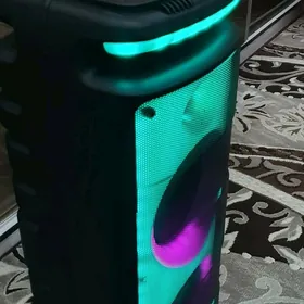 kolonka NDR