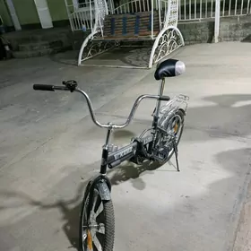 kama tigir