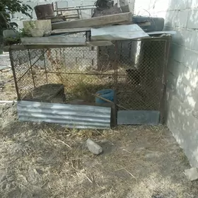Towuk Ketek