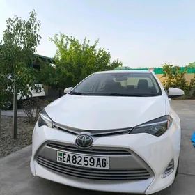 Toyota Corolla 2019