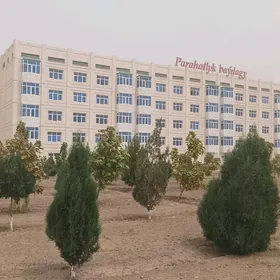 элитка продажа кравтиры