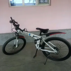 BMW tigir