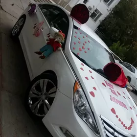 Hyundai Sonata 2011