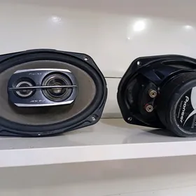 Pioneer nikl