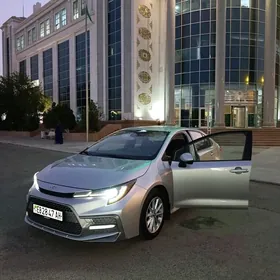 Toyota Corolla 2019
