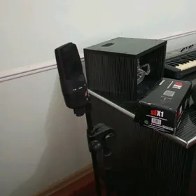 mikrafon istoyka