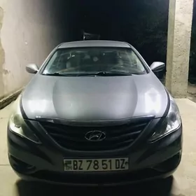Hyundai Sonata 2010