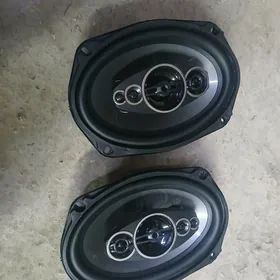 pioneer kalonka