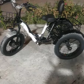 Satlyk welik mator