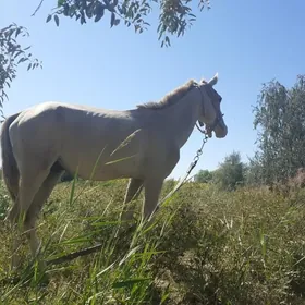 At
