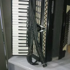 AKKARDION