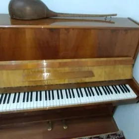 pionina