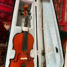 Arzan bahadan Skripka