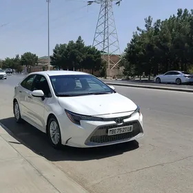 Toyota Corolla 2021