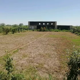 Сатлык жай, ферма
