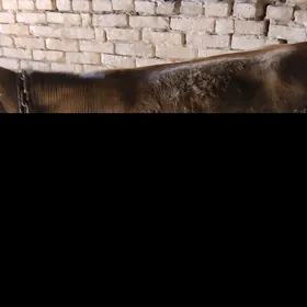 1 ýaşan göle