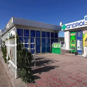 magazın arenda