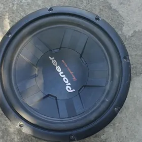 Pioneer bocga 1000