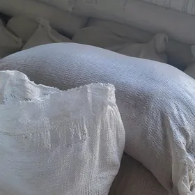 Kepek