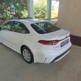 Toyota Corolla 2020