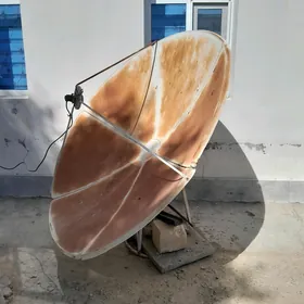 Antena uly