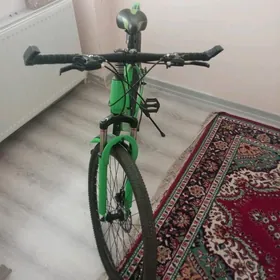 turkmenistan tigir