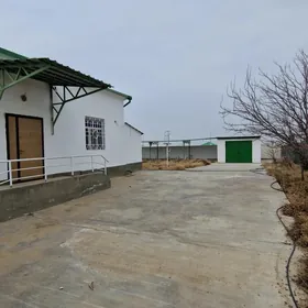 Satlyk Jaylar