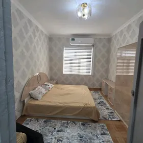 Buzmeyin gress arenda 1kom