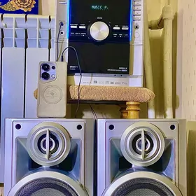 Panasonic muzykal sentr центр