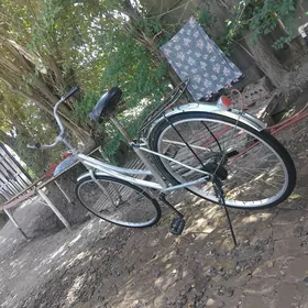 teker 26 lyk