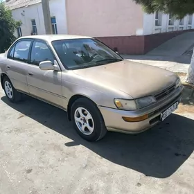 Toyota Corolla 1995