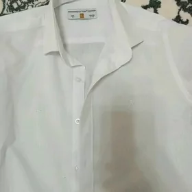 balak koynekler balaklar