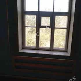 Agaç aýna