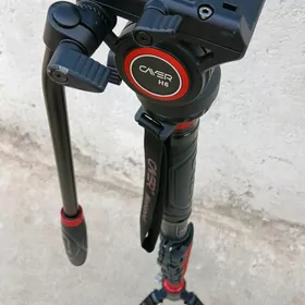 manapot