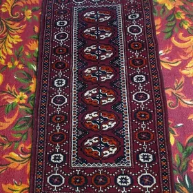 Turkmen haly kicisi